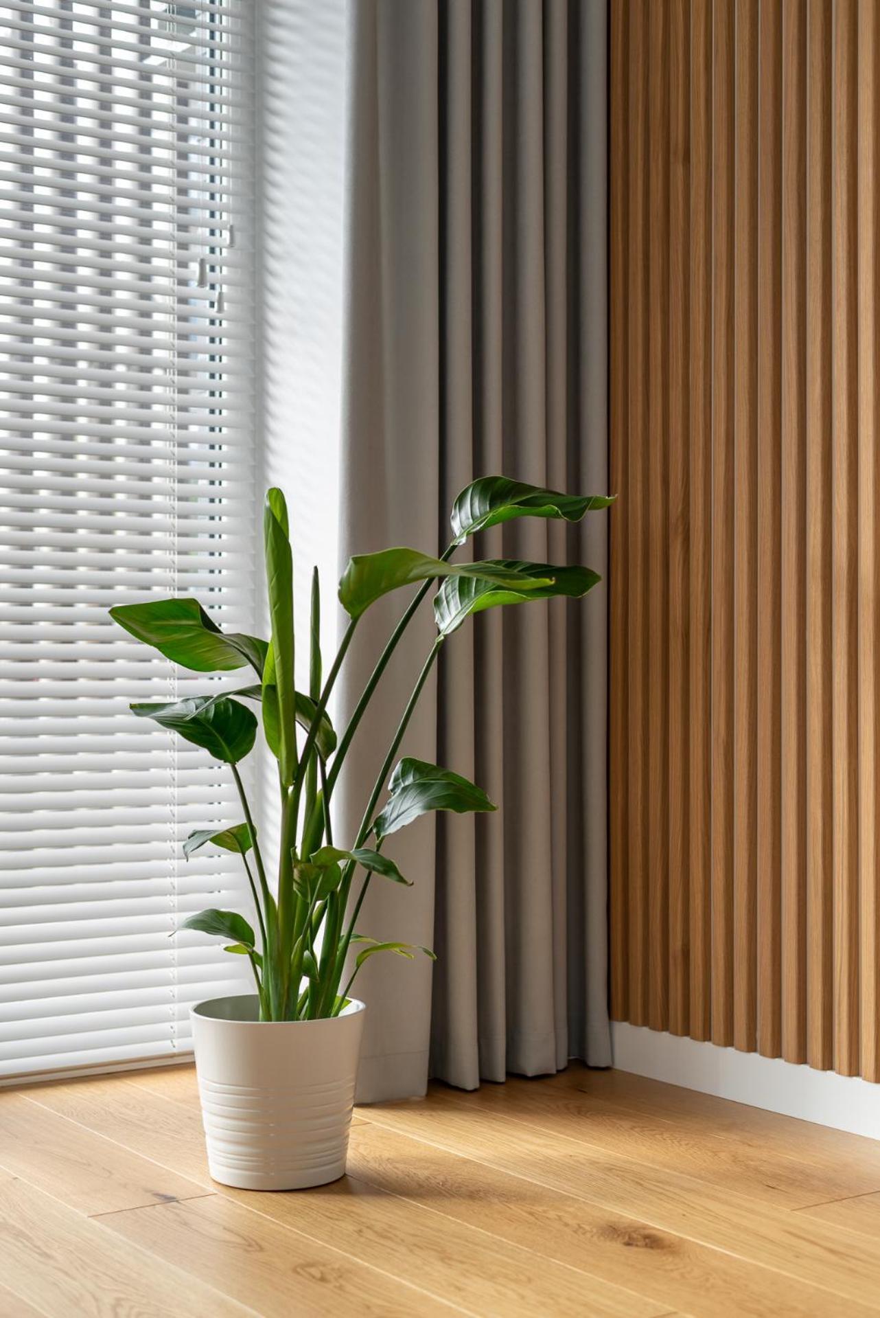 D33 Vilnius - Brand New Luxury Apartment With Terrace, Garden, Ac And Parking ภายนอก รูปภาพ